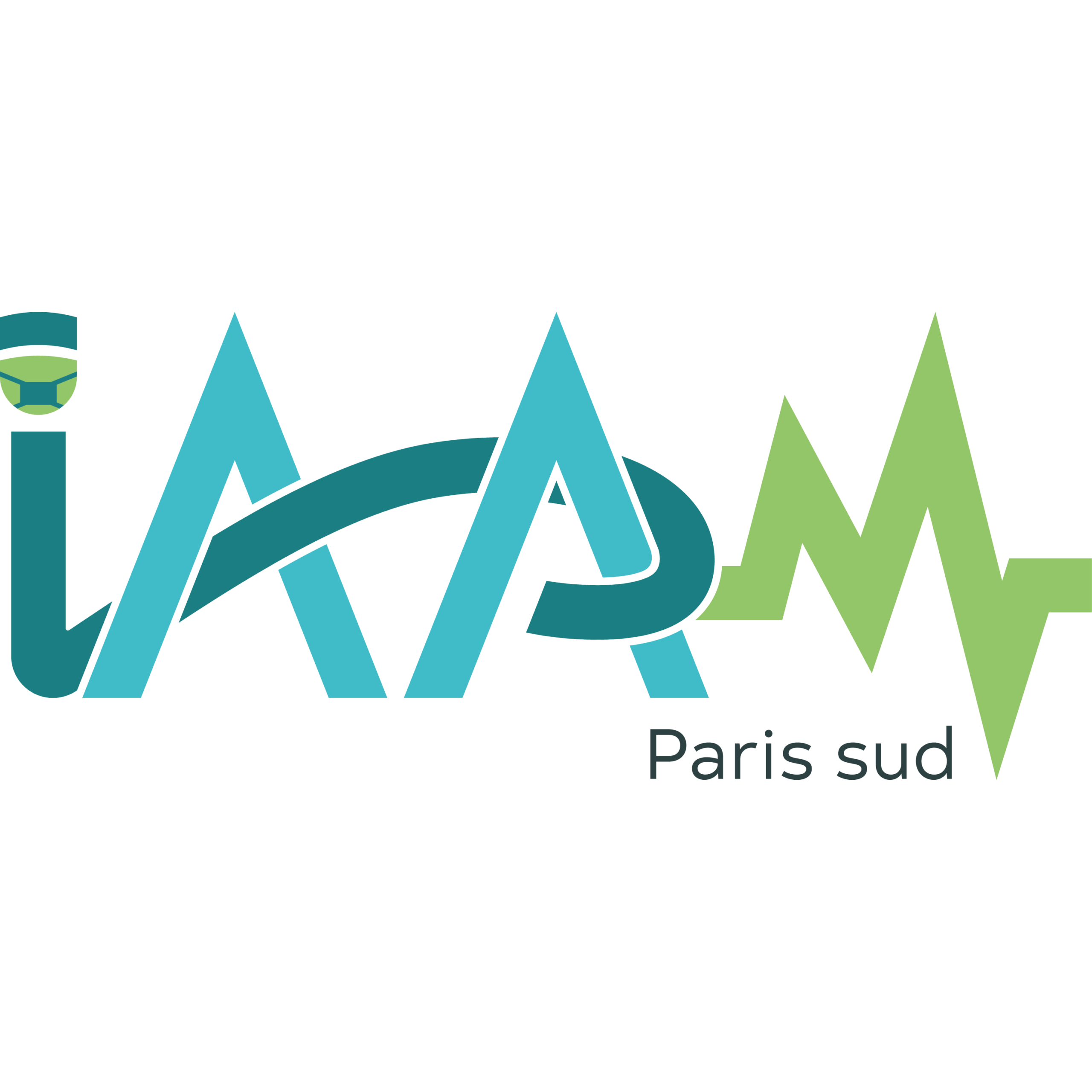 Logo iaam